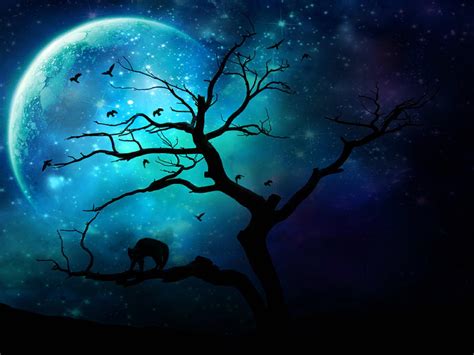 Dark Forest With Moon Wallpapers - Wallpaper Cave