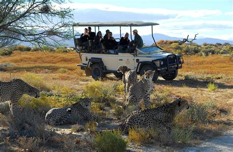 Inverdoorn Game Reserve in South Africa - Safaris Down South