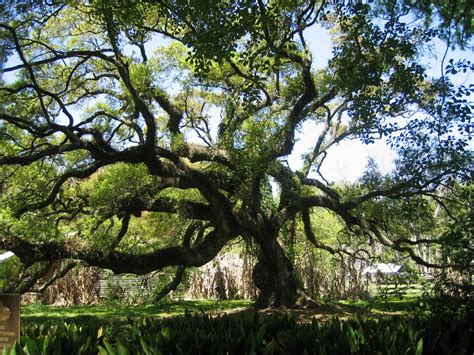 Cathi and Don on the road: Destrehan Plantation, Hot day