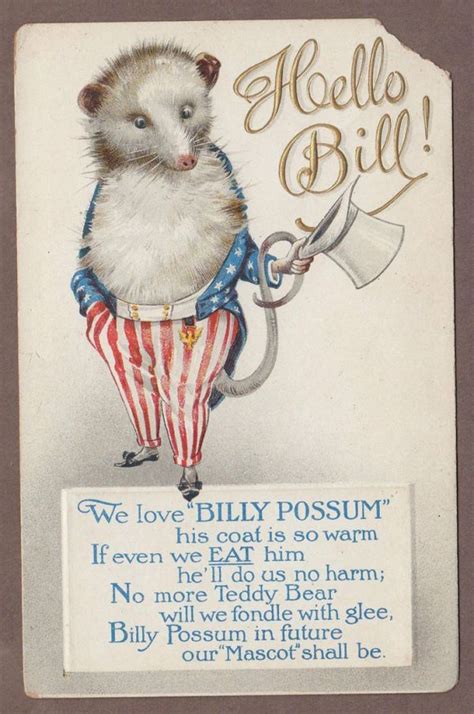 The Story of Billy Possum - Neatorama