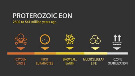 PROTEROZOIC EON: From Eukaryotes to Multicellular Organisms - Earth How