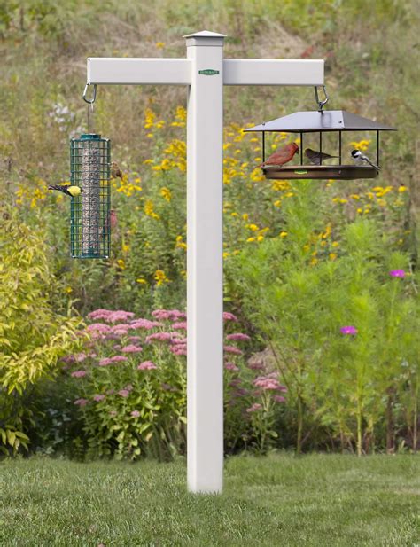 Some Facts About a Bird Feeder Stand | Birdcage Design Ideas