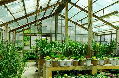 The “Lean-to Greenhouses” and their benefits - UrbanFarmOnline.com