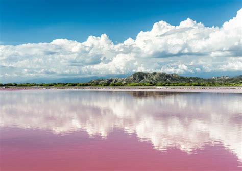 Inspired Travel: Lake Retba | ShermansTravel