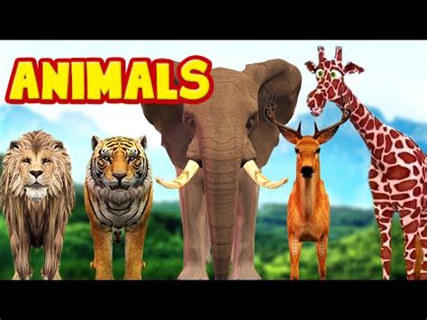 Animals Finger Family Cartoon Children Nursery Rhymes for Children | My Superhero Rhymes