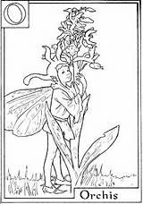 Flower Fairies Coloring Pages sketch template