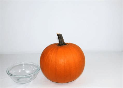 How to Turn a Pumpkin Into a Flower Vase - Redfin