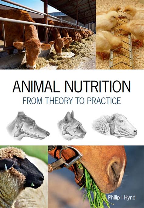 Animal Nutrition: From Theory to Practice | VetBooks