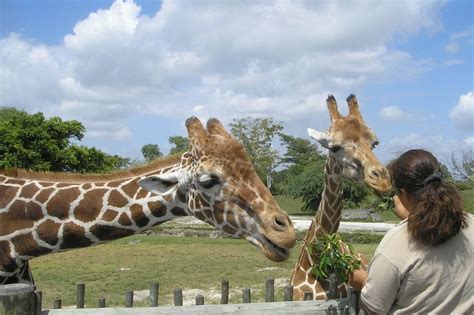 14 BEST Zoos in the UK (2023 Guide)