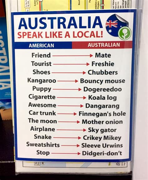 How to speak like an Australian : r/funny