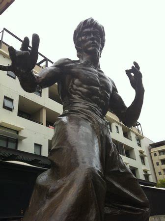 Bruce Lee Statue (Kogarah): UPDATED 2021 All You Need to Know Before You Go (with PHOTOS)