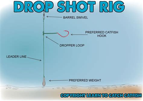 Drop Shot Rig.. | Catfish rigs, Catfish fishing, Drop shot rig