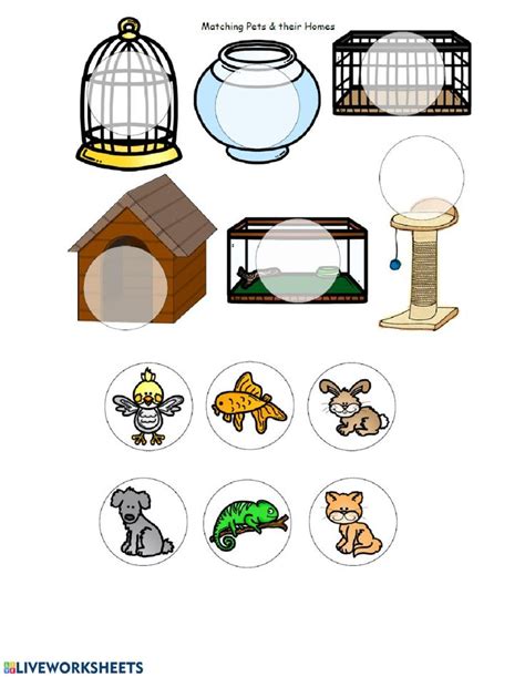 Match the pets to their homes worksheet | Pets preschool, Preschool art activities, Pets ...