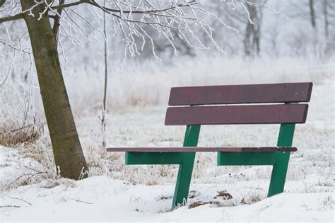 Premium Photo | Bench in winter nature winter scene with bench