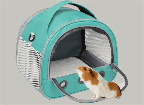 Hamster Road Trip: Packing With the Perfect Hamster Travel Cage