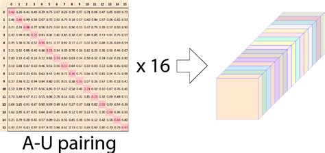 Figure 1 from AlphaGo-like Inverse RNA Folding algorithms | Semantic Scholar