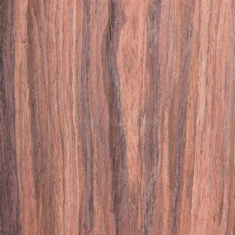 Walnut, wood grain stock image. Image of brown, natural - 35245671