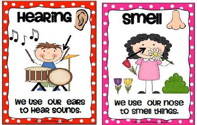 Krazee 4 Kindergarten: 5 Senses Poster Set- FREE DOWNLOAD