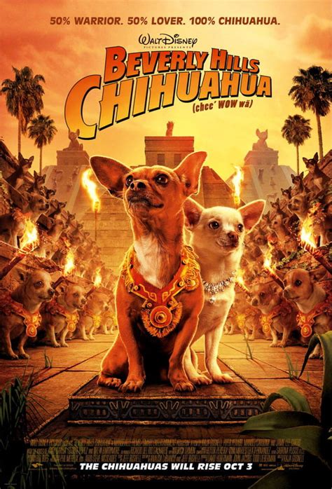 Beverly Hills Chihuahua Movie Poster (#1 of 5) - IMP Awards