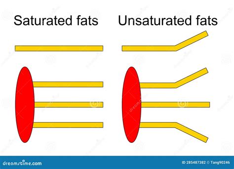 Saturated And Unsaturated Fatty Acids, Triglyceride, Triacylglycerol, Triacylglyceride Lipid ...