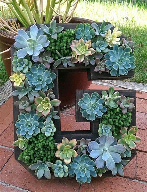 31 Beautiful Outdoor Succulent Planter Ideas - MAGZHOUSE