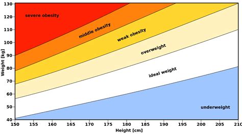 It's high time we moved past BMI -- meet the metabolome