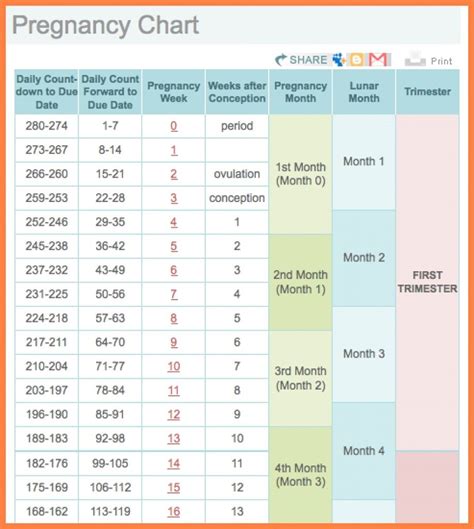 Pregnancy Week To Month Calendar | Schwangerschaftswochen, Schwangerschaft wochen, Schwangerschaft