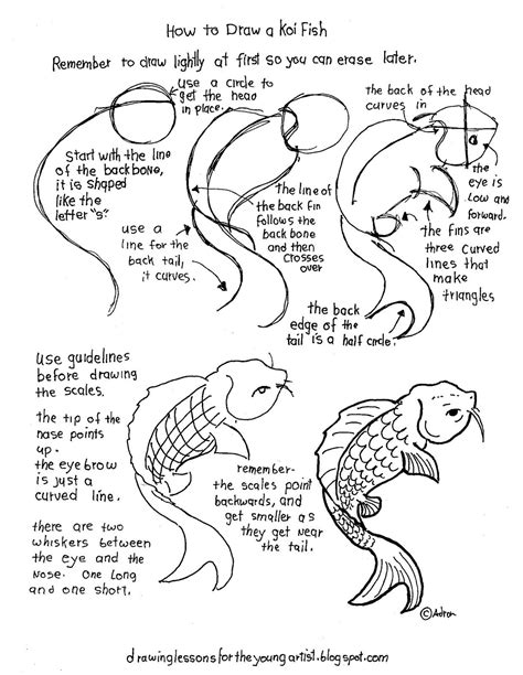 How to Draw Worksheets for The Young Artist: Printable How To Draw A Koi Fish Worksheet | Koi ...