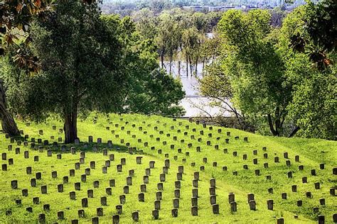 Vicksburg National Cemetery by Susan Rissi Tregoning | Vicksburg, Military cemetery, American ...