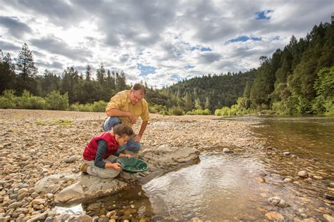 How to Experience California's Gold Rush History | Visit Placer