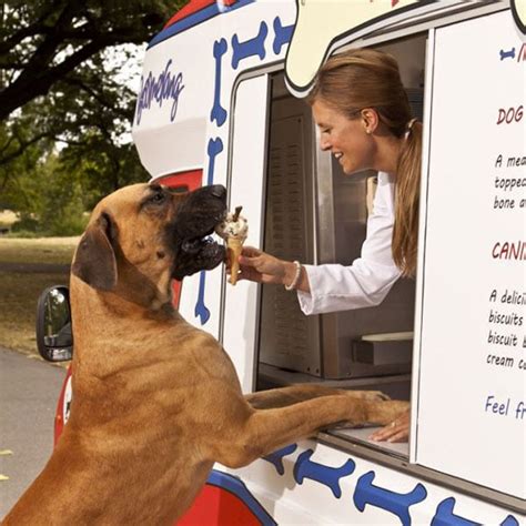 Dog Ice Cream Truck - The Awesomer