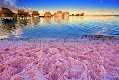 7 Pink Sand Beaches in Florida