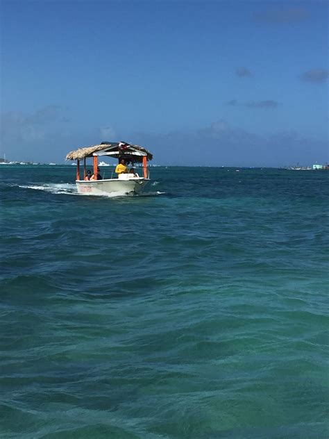 Glass bottom boat tours | Boat tours, Glass bottom boat, Tours