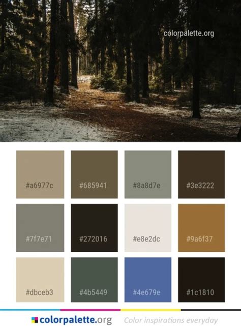 Bistre Color Palette ideas | colorpalette.org