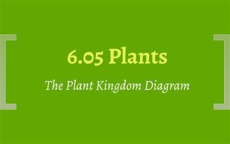 6.05 Plant Kingdom Diagram by Justin Taylor on Prezi