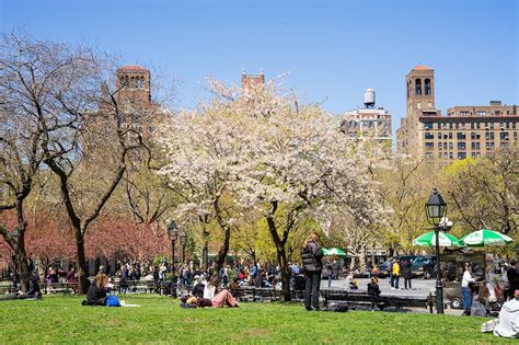 Washington Square Park: NYU's Campus Quad in Every Season - MEET NYU