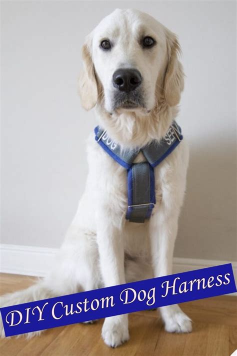 7 DIY Dog Harness ideas With Instriction - DIYnCrafty