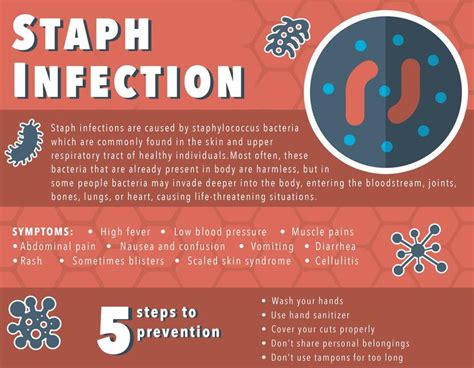 Staph Infections: Symptoms, Causes, Treatment, and Diagnosis | FindATopDoc