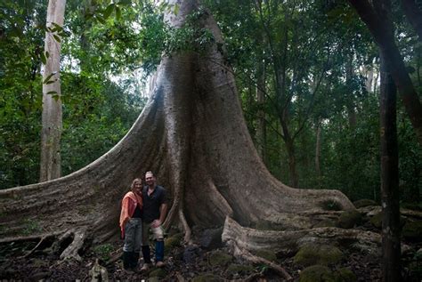 Explore Nam Cat Tien National Park from Hoi Chi Minh City