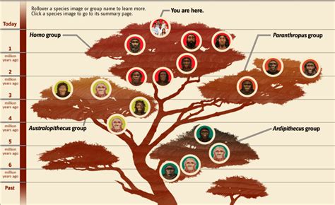 This month in Archaeology: Three different early humans coexisted in South Africa … around 2 ...