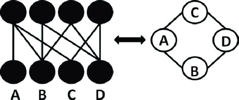 Bipartite graph with corresponding simple representation. | Download Scientific Diagram