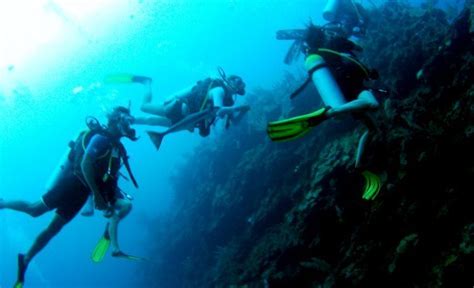 My Top 5 Diving Spots In Belize