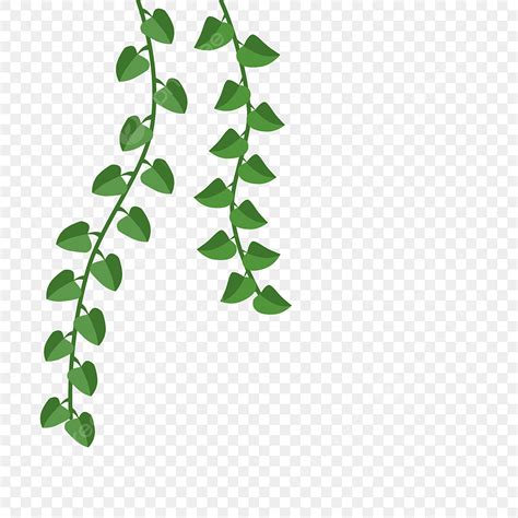 Vines Plants Clipart Hd PNG, Cartoon Green Plant Vine, Vine Clipart ...