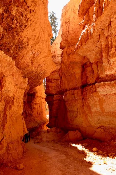 Best Hikes in Utah (30 Awesome Trails You Can't Miss) in 2022 | Best ...