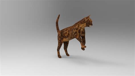 3D Model Cat Rigged | 1142658 | TurboSquid