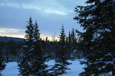 Jenn and Romy: The Snow Survey Cabin