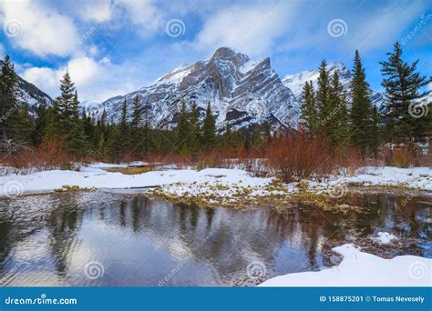 A Beautiful Winter Day in the Mountains of Kananaskis in Peter Lougheed ...