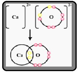 ca orbital diagram - TravisMatteo