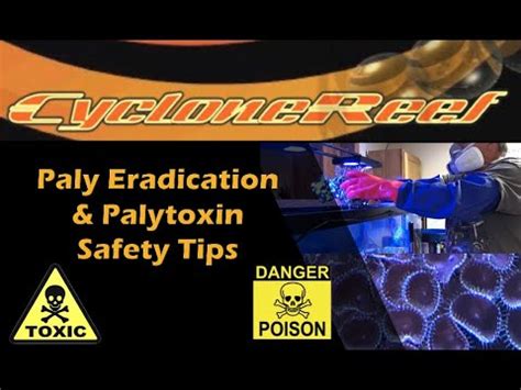 Paly Eradication & Palytoxin Safety Tips - YouTube