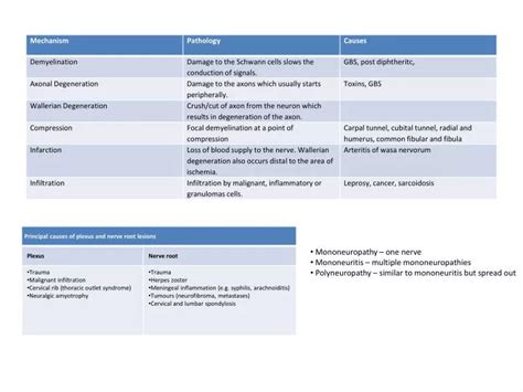 PPT - Mononeuropathy – one nerve Mononeuritis – multiple mononeuropathies PowerPoint ...